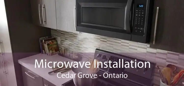 Microwave Installation Cedar Grove - Ontario