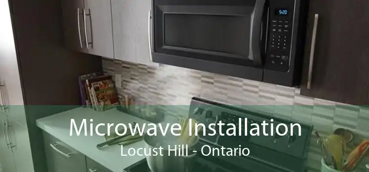 Microwave Installation Locust Hill - Ontario
