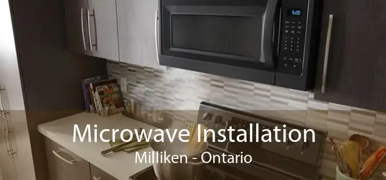 Microwave Installation Milliken - Ontario