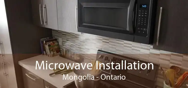 Microwave Installation Mongolia - Ontario