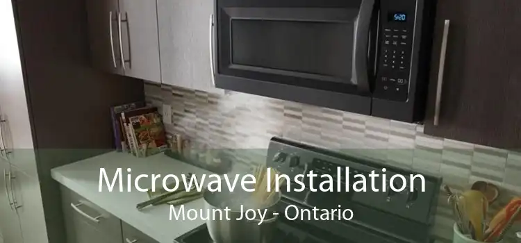 Microwave Installation Mount Joy - Ontario