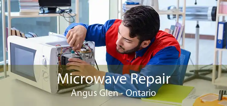 Microwave Repair Angus Glen - Ontario