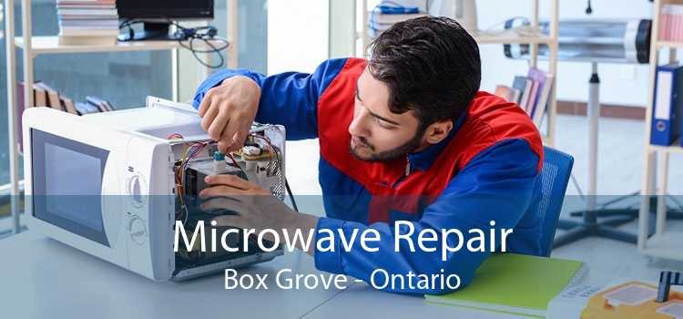 Microwave Repair Box Grove - Ontario