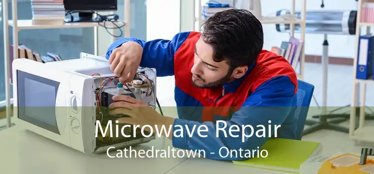Microwave Repair Cathedraltown - Ontario