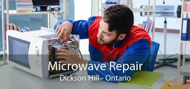 Microwave Repair Dickson Hill - Ontario