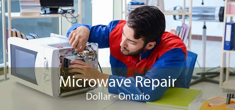 Microwave Repair Dollar - Ontario