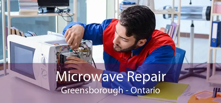 Microwave Repair Greensborough - Ontario