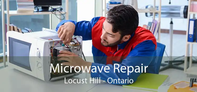 Microwave Repair Locust Hill - Ontario