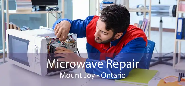 Microwave Repair Mount Joy - Ontario