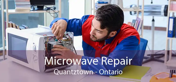 Microwave Repair Quantztown - Ontario