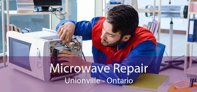 Microwave Repair Unionville - Ontario