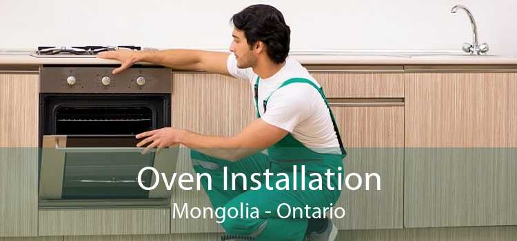 Oven Installation Mongolia - Ontario
