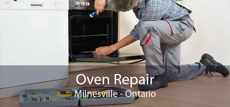 Oven Repair Milnesville - Ontario