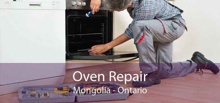 Oven Repair Mongolia - Ontario