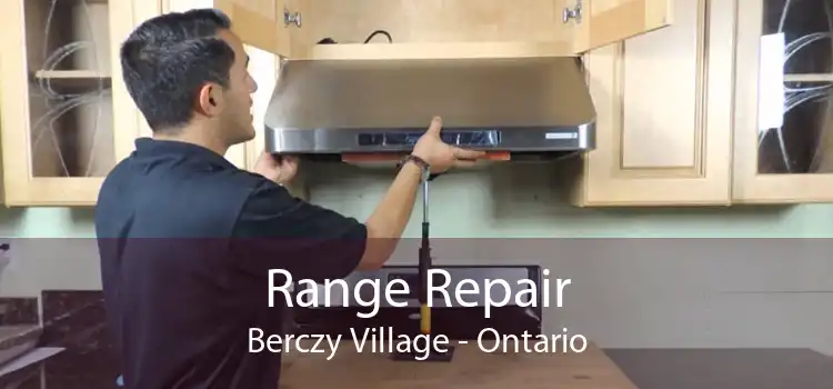 Range Repair Berczy Village - Ontario