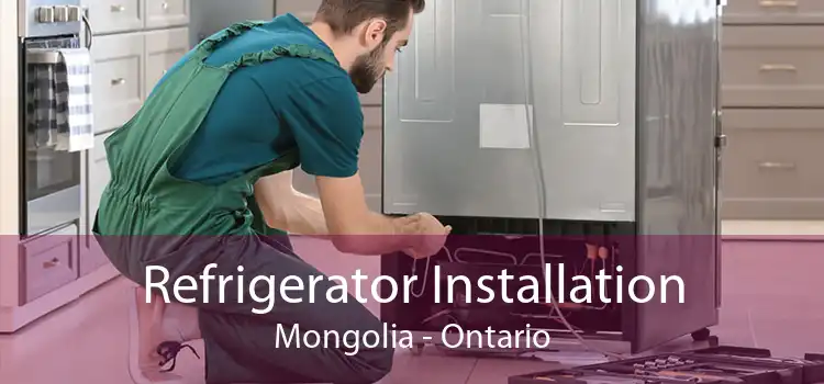 Refrigerator Installation Mongolia - Ontario