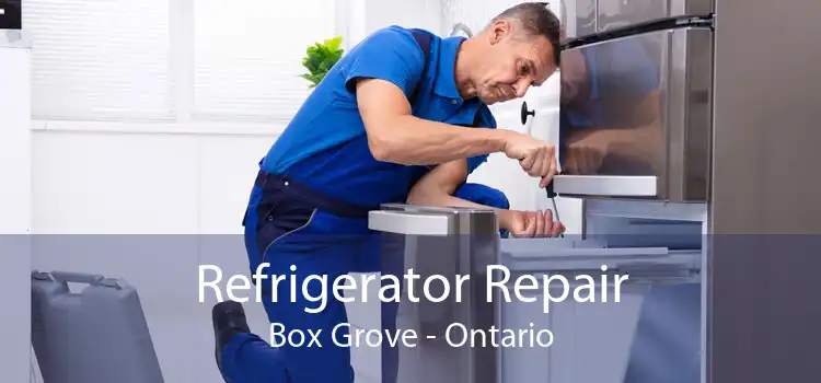 Refrigerator Repair Box Grove - Ontario