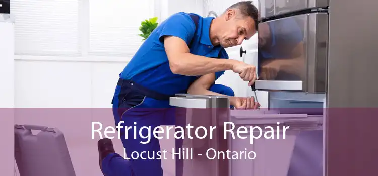 Refrigerator Repair Locust Hill - Ontario
