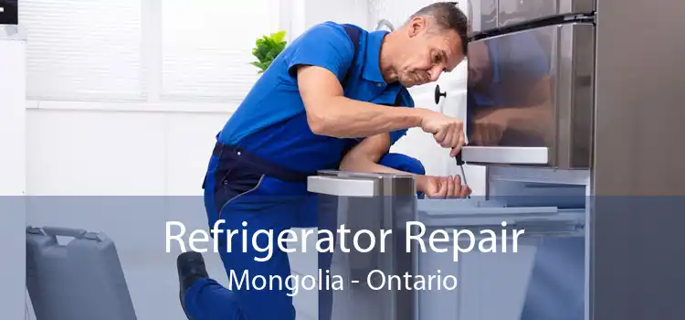 Refrigerator Repair Mongolia - Ontario