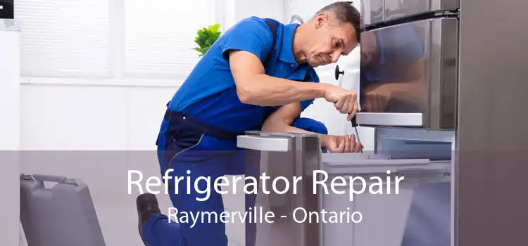 Refrigerator Repair Raymerville - Ontario