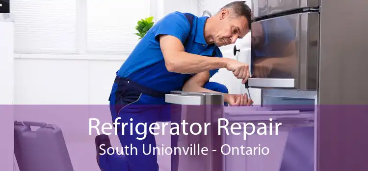 Refrigerator Repair South Unionville - Ontario