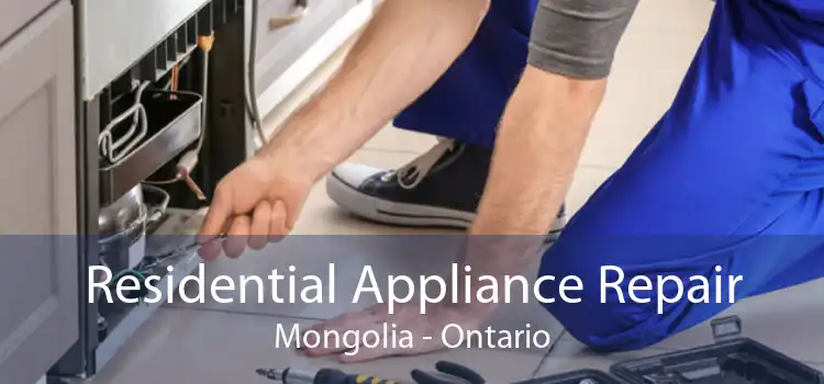 Residential Appliance Repair Mongolia - Ontario