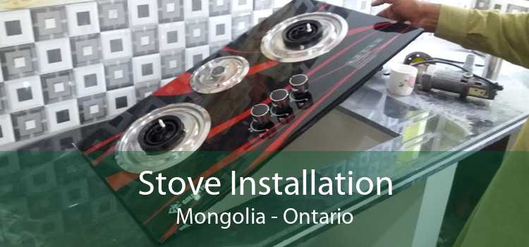 Stove Installation Mongolia - Ontario