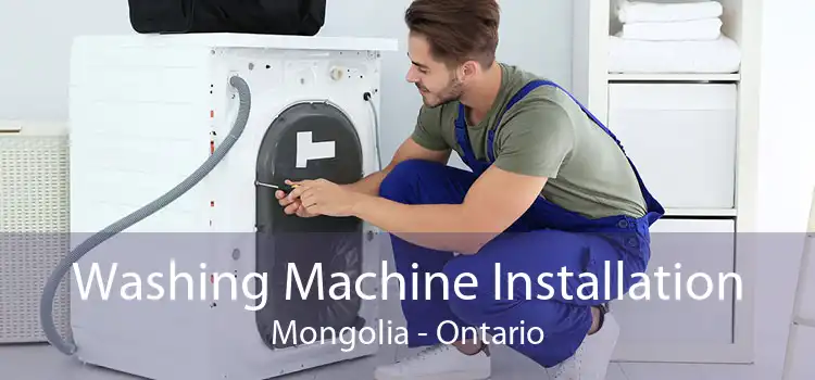 Washing Machine Installation Mongolia - Ontario