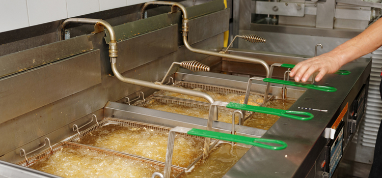 Commercial Fryer Repair in Vinegar Hill